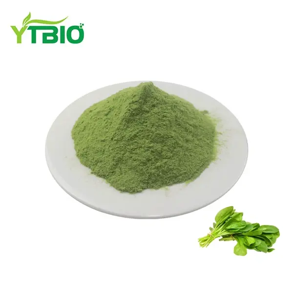 Spinach Powder vs. Fresh Spinach: Nutritional Differences, Advantages, and Food Industry Applications